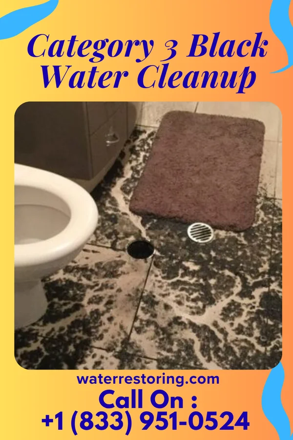 Category 3 Black Water Cleanup in West Liberty, KY