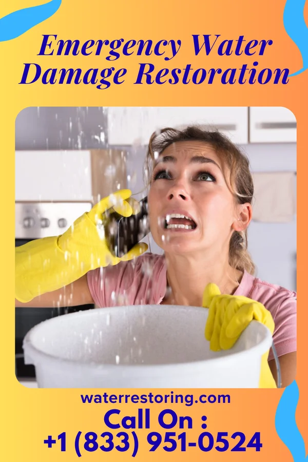 Emergency Water Damage Restoration in West Liberty, KY