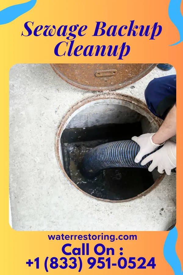 Sewage Backup Cleanup in West Liberty, KY