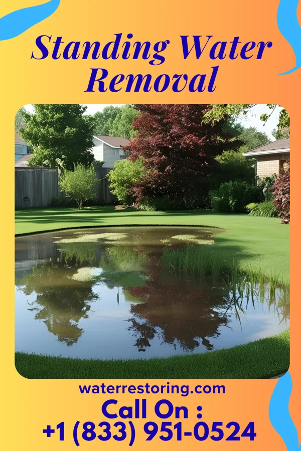 Standing Water Removal in West Liberty, KY